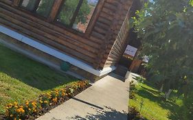 Camere în casă de lemn proaspăt renovată